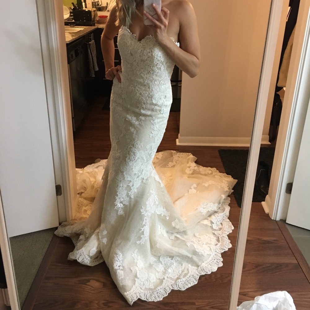 Pronovias Princia Wedding Dress